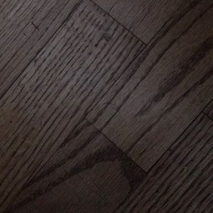 Meet your Posher, Darci